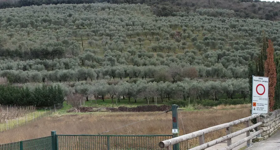 «Tennis al Brione, scelta inadeguata»