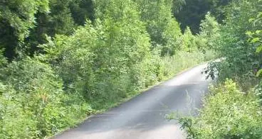 Strada “3 Valli” a Bedollo: lavori entro metà 2019