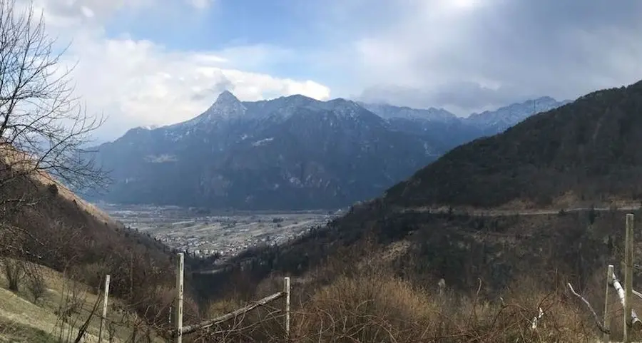 «Per gli affitti serve la proroga di un anno»