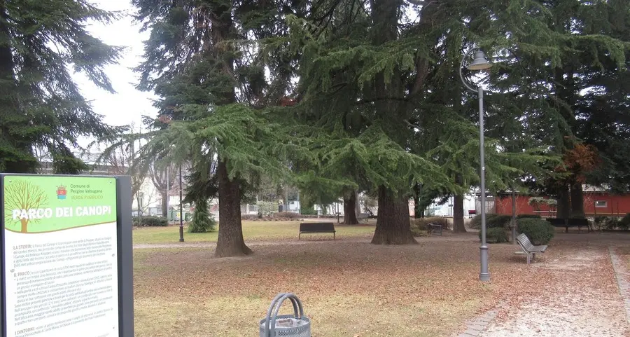 L’appalto per pulire il verde pubblico vale 203 mila euro