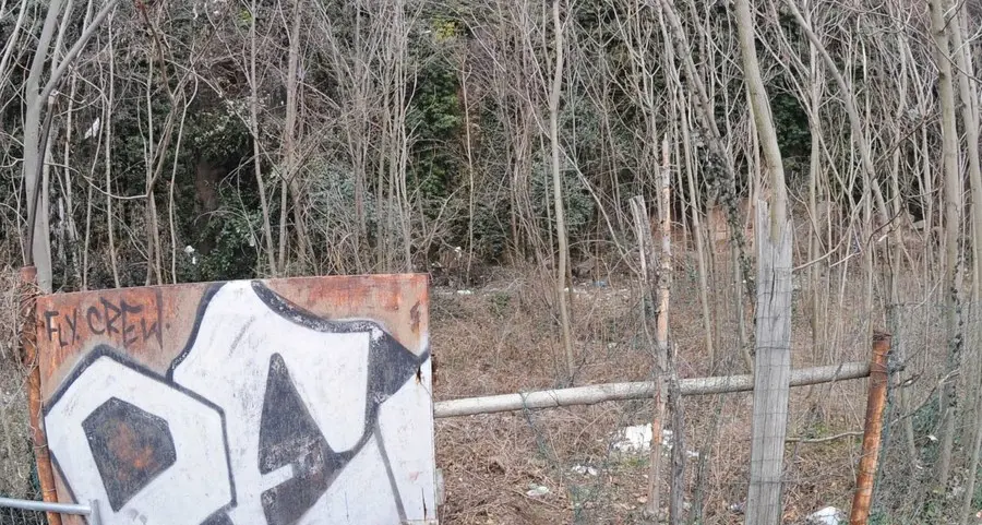 Via della Pontara, il bosco degradato ha le ore contate