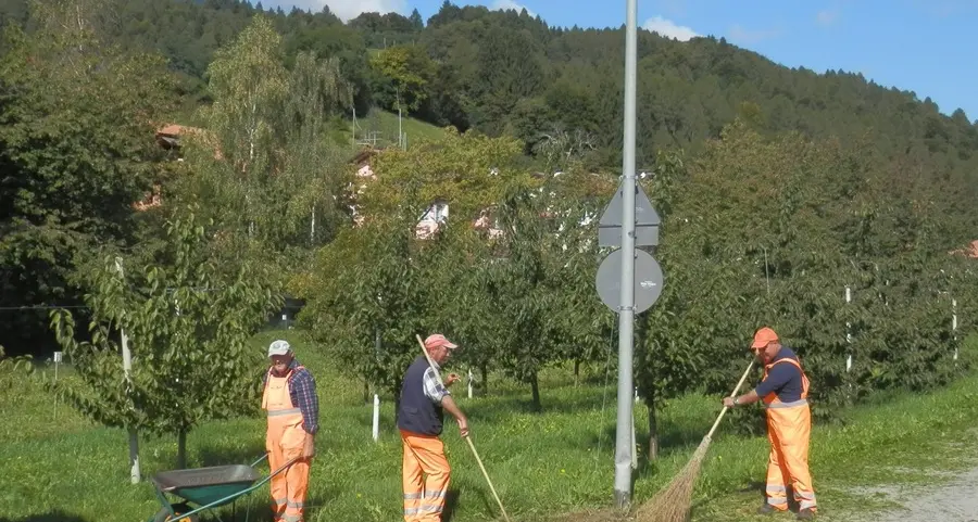 Bando del Comune per l’Intervento 19