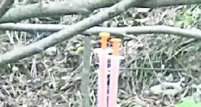 Gardolo, siringhe conficcate sugli alberi lungo la Via Crucis