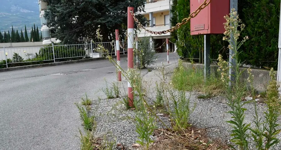 Via Graser dimenticata, nessuno la cura