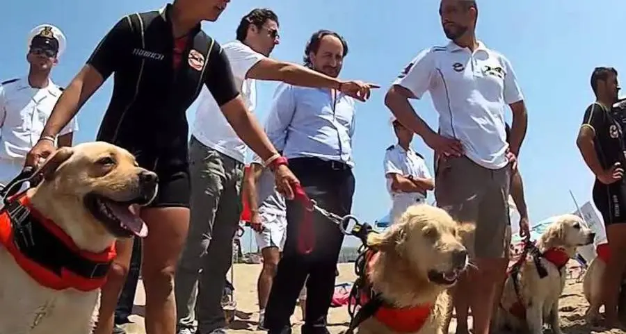 D’estate i “Bau Watcher” sono i nostri super bagnini