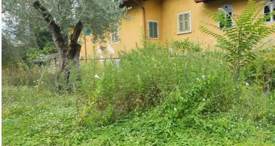 «Riva, troppi luoghi trascurati dal Comune»