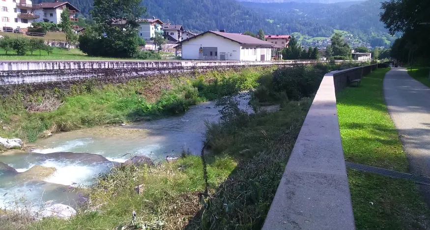 Il torrente Cismon pulito dagli “alberi delle farfalle”