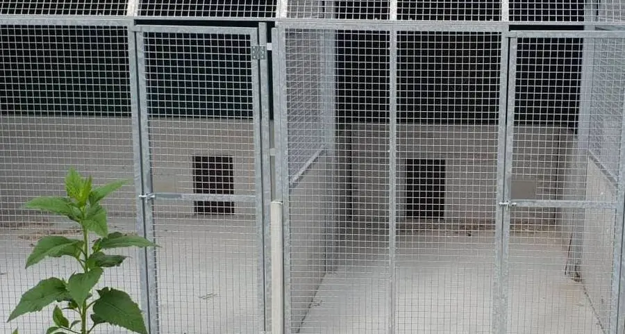 Canile, un cantiere infinito con vari errori da riparare