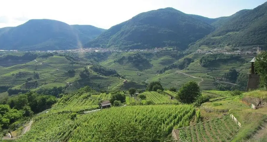 Sviluppo rurale, due milioni dall’Europa
