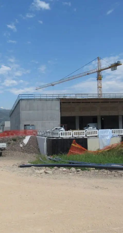La “casa” dei piccoli frutti prende forma