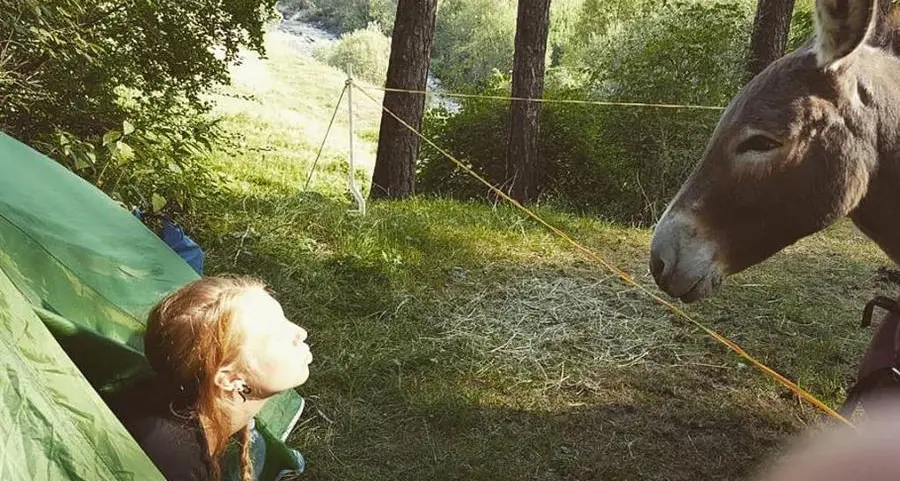È passata anche da Lavis la ragazza con l’asino