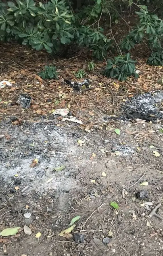 Al Parco Lung’Adige Braille barbecue e falò notturni