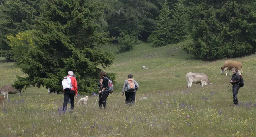 Gara tra fungaioli domenica sul Peller