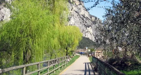 «Le bancarelle della Rocca squalificano Riva»