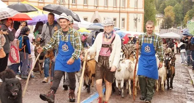 Domenica il “grazie” alle capre