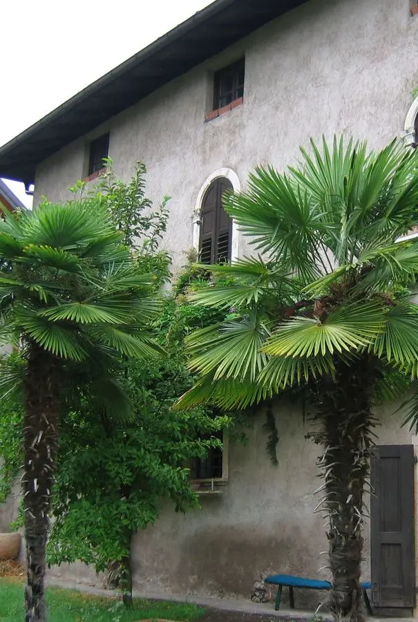 I colori dell’anima di Serra sono esposti a Villa Bertolini