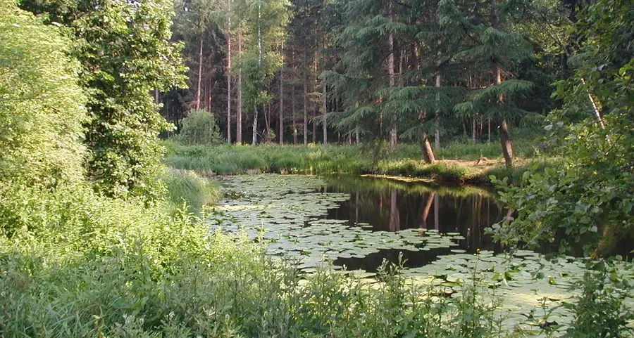 Tenna dice sì alla Riserva del fiume Brenta