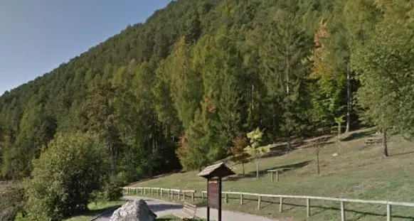 Commissione forestale, ok al riordino di Val Granda