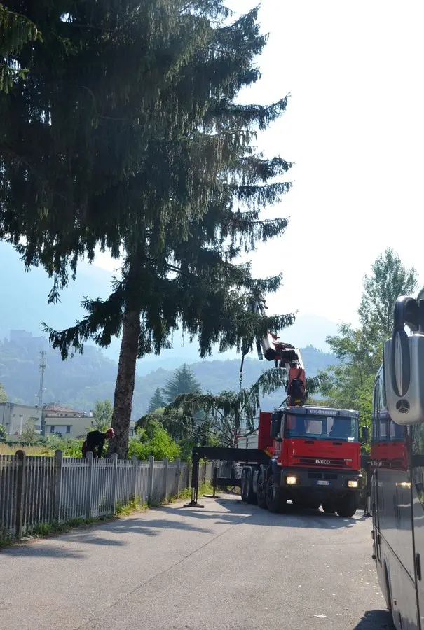 Iniziato il taglio degli alberi in via Celva