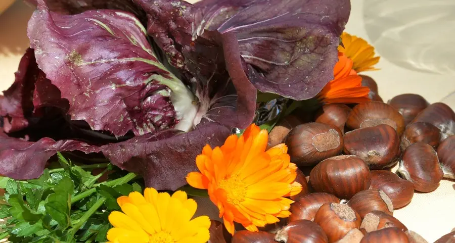 Mele, castagne, radicchio e zucche: è festa dei sapori