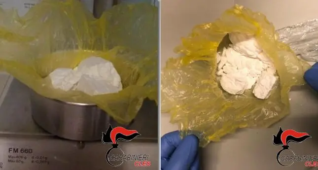 Cles, nel controllo stradale il cane antidroga fiuta la cocaina