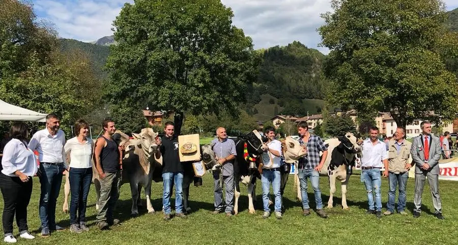 Pieve di Ledro, folla alla Fiera di San Michele