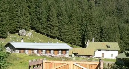 Nuova malga Valmaggiore sì al progetto dai regolani