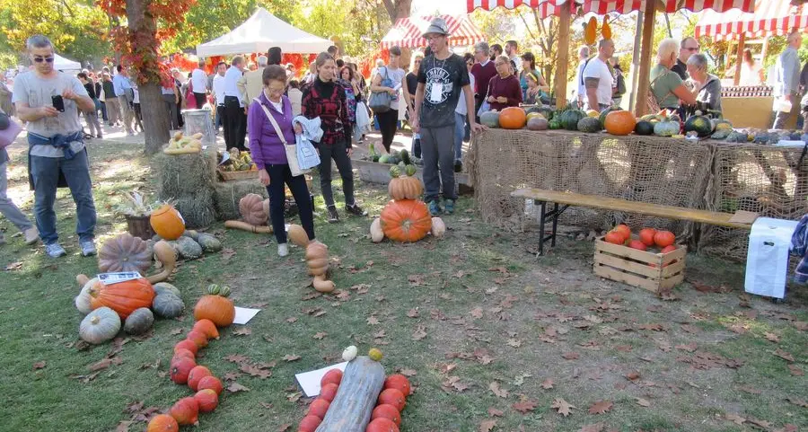 Il Tre Castagni attende la Festa della zucca