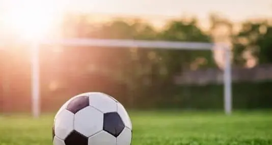 Arbitri: diritto di immagine “libero” dall’ Inps
