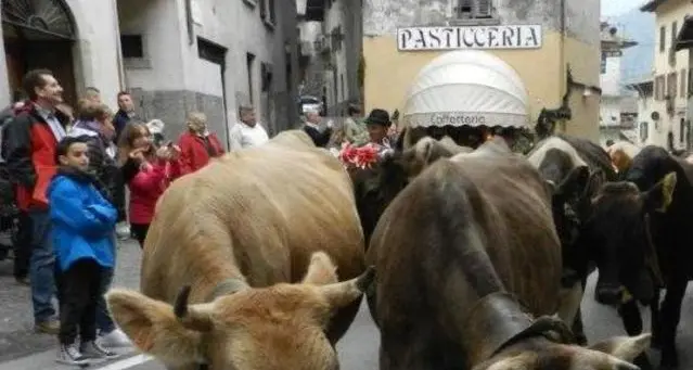 Due giorni di festa per l’antico rito della transumanza