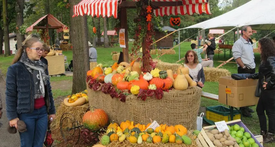 Il Parco Tre Castagni da oggi veste a festa per zucca e miele
