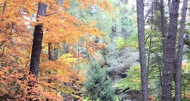 In cantina o nel bosco il fine è assaporare i prodotti autunnali