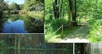 Rete di Riserve Brenta il progetto diventa realtà
