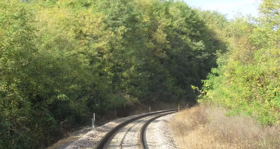 Obbligo di taglio piante lungo la ferrovia