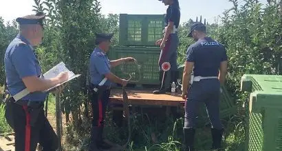 Donna segregata nel cassone, la Procura vuole il giudizio immediato