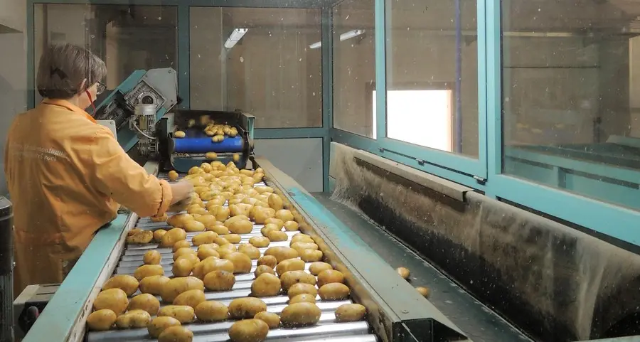 Copag, mele e patate con un segno meno