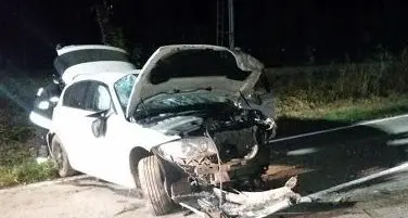 Bmw si schianta contro il cervo