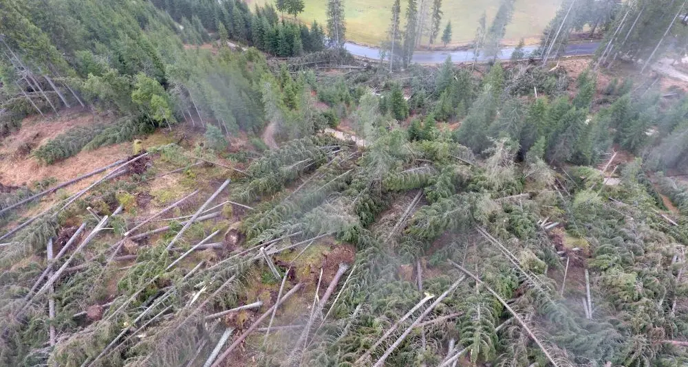 Maltempo, Alto Adige, elicottero di una megasegheria austriaca sorvola i boschi