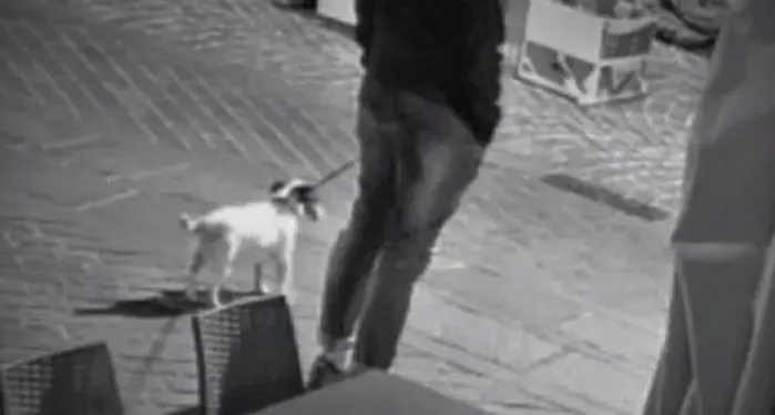 Fermata la banda dei furti nelle boutique grazie ad Avatar, il cane del \"palo\"
