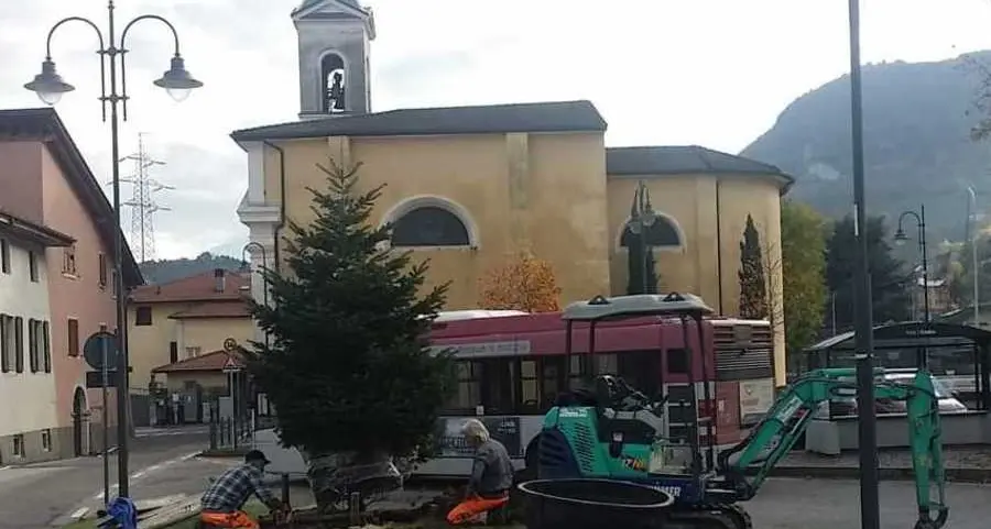 Vela, piantato il nuovo albero richiesto dalla popolazione