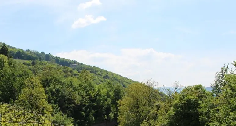Domani gli abitanti dei Furli a passeggio insieme in collina
