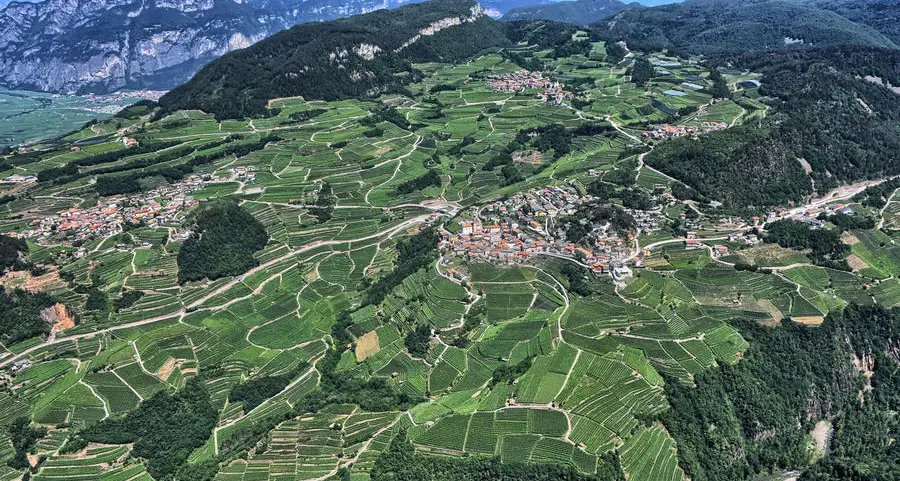 Muri a secco patrimonio Unesco La Val di Cembra punta a Roma