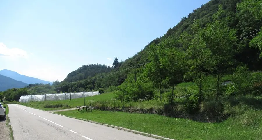 Impresa Zampedri a Viarago, c’è l’accordo