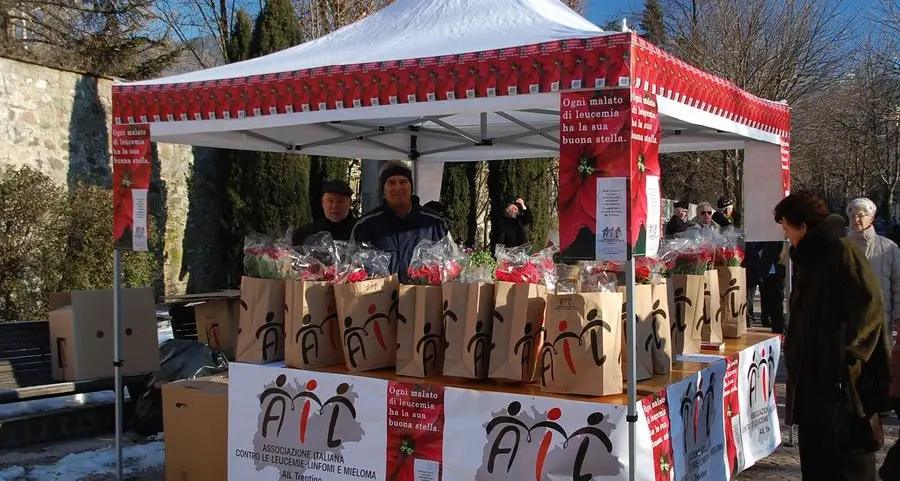 Domani e domenica le Stelle di Natale Ail
