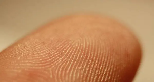 Trento, furto in casa, il presunto autore individuato grazie alle impronte digitali