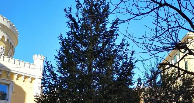 In viale Certosa a Genova l’albero di Natale dei pompieri