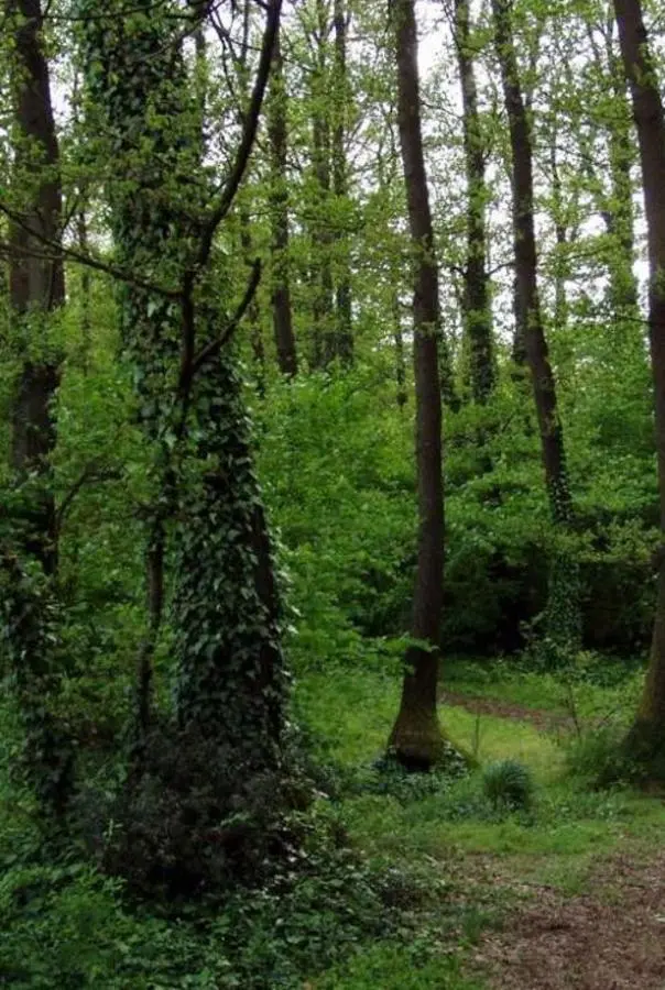 Custode forestale, in 8 domani alla prova orale del concorso