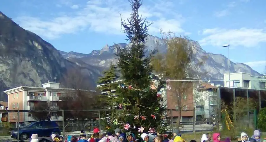 Al Ronca Camp i bambini addobbano l’albero di Natale