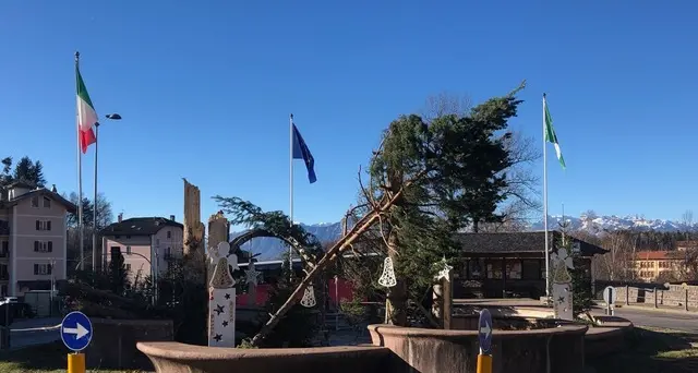 Gli alberi schiantati addobbano il presepe