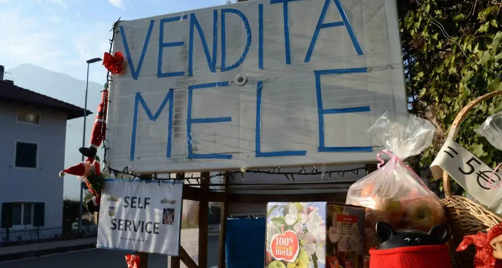 Trento, le mele e i succhi in vendita self-service sulla strada